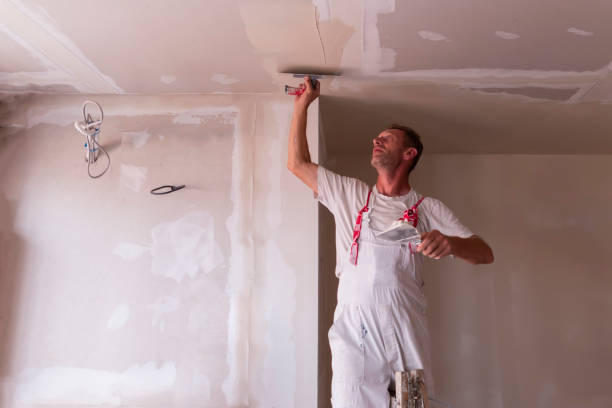 Best Custom Drywall Patching  in Lattingtown, NY